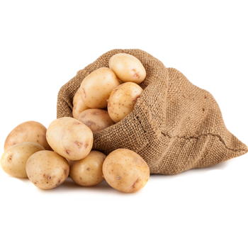 Potato